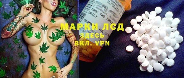apvp Алексин