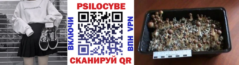 Псилоцибиновые грибы мухоморы  Сольвычегодск 